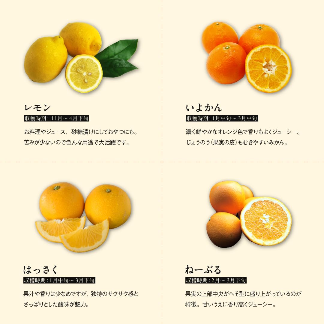 Amazon.co.jp: 伊藤農園 旬の 柑橘 詰め合わせ お楽しみ箱 特選5kg